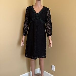 Muse Black Dress with Lace Sleeves, Size 8